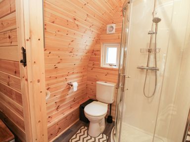 A bathroom with a toilet shower and wooden paneled walls at The Pod in Worthen near Minsterley