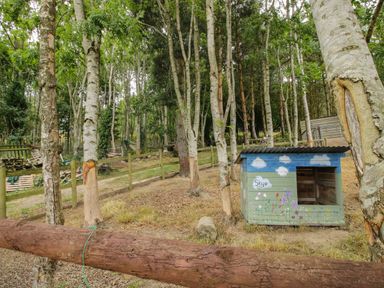 An outdoor area with trees a small painted wooden shed and a log fence at The Pod in Worthen near Minsterley