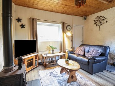 A living room with a black leather sofa two patterned cushions a wooden coffee table and a television on a wooden stand at Tyn Y Cefn Near Blaenau Ffestiniog