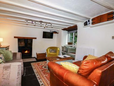 A living room with a fireplace and sofa at Woodview in Looe