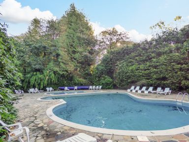 An outdoor swimming pool with white lounge chairs around it surrounded by trees at Lodge 16 in Lanteglos near Camelford