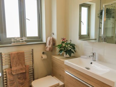 A bathroom with a sink cabinet a plant on the countertop a towel rack with towels and a window at The Mews in Bovey Tracey near Chudleigh Knighton
