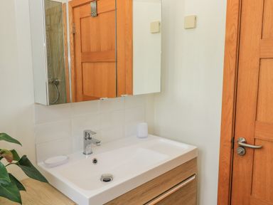 A bathroom sink with a faucet a soap dish and a toothbrush holder a wooden door a mirror cabinet and a plant at The Mews in Bovey Tracey near Chudleigh Knighton