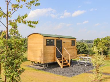 A wooden shepherd hut with steps in a grassy area near a picnic table at Sunflower Sparnon Gate near Illogan