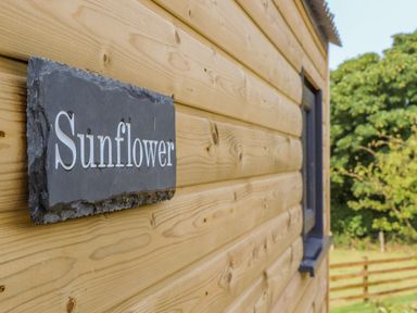 A wooden exterior wall with a sign that says Sunflower near a window and trees at Sunflower Sparnon Gate near Illogan