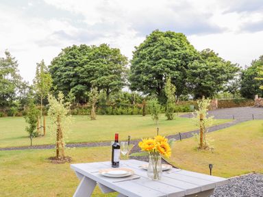An outdoor picnic table with plates wine glass bottle and sunflowers in a field of trees at Sunflower Sparnon Gate near Illogan