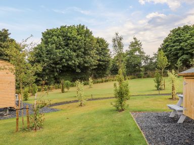 A garden area with small trees, grass, gravel paths, wooden sheds and a picnic table at Sunflower Sparnon Gate near Illogan