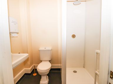 A bathroom with a toilet, a sink, and a shower area at Nethercott House in Iddesleigh near Hatherleigh