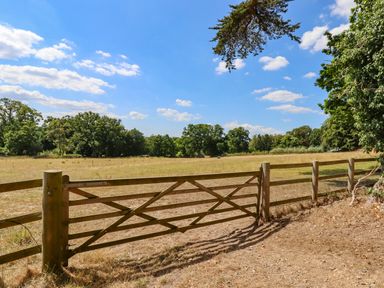 A wooden gate opening to a dry grass field with trees under a blue sky at Nethercott House in Iddesleigh near Hatherleigh
