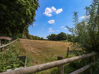 A fenced grassy field with trees under a blue sky at Nethercott House in Iddesleigh near Hatherleigh