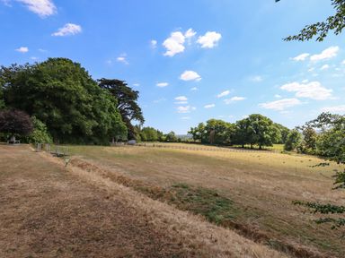 A field with grass and trees under a blue sky at Nethercott House in Iddesleigh near Hatherleigh