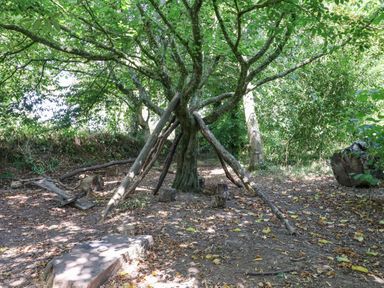 A wooded area with a tree supported by wooden poles and logs on the ground at Nethercott House in Iddesleigh near Hatherleigh