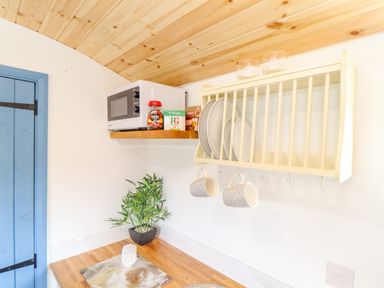 A kitchen corner with wooden ceiling a blue door a microwave on a wooden shelf plates in a drying rack two hanging mugs and a plant on the countertop at Rose in Illogan