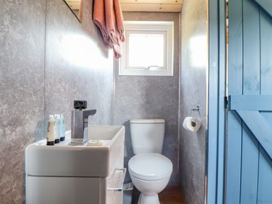 A small bathroom with a white toilet a white sink with toiletries a window and a blue wooden door at Rose in Illogan