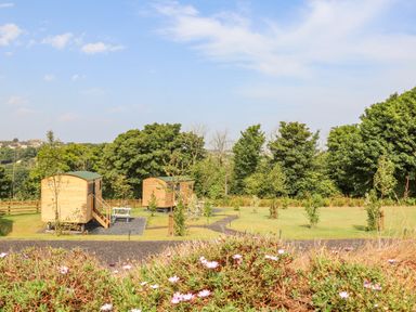 Wooden tiny houses on grassy area with picnic table and trees under blue sky at Rose Illogan