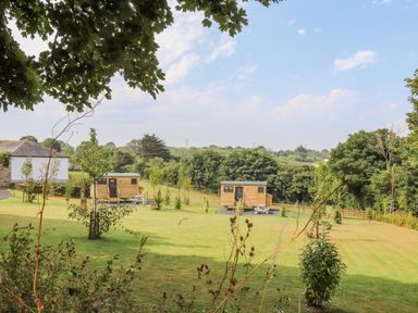 A grassy field with two wooden cabins and small trees at Rose in Illogan
