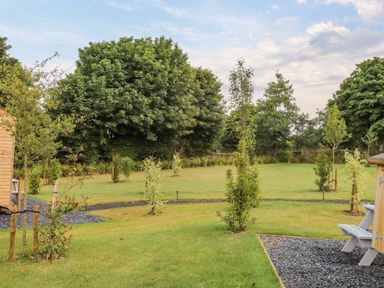 A grassy backyard with young trees and a wooden structure on a gravel area at Rose in Illogan