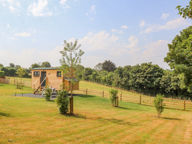 A small wooden cabin with stairs and a picnic table on a grassy area with young trees and fences at Rose in Illogan