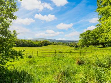 A green field with a metal gate and trees under a blue sky at Goose Cottage within the Helland Barton Farm collection in Delabole
