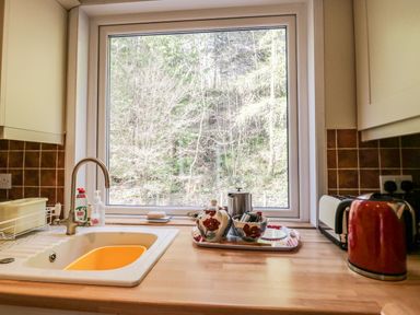 A kitchen countertop with a sink red kettle tea set and toaster beside a window showing trees outside at Fellside View in Chapel Stile