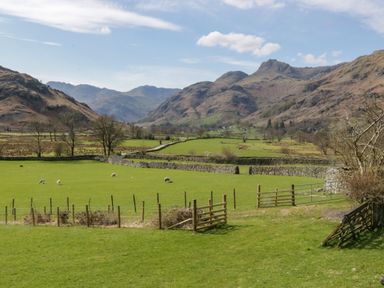 A green field with sheep fenced by wooden and wire fences with mountains in the background at Fellside View in Chapel Stile