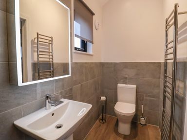 A bathroom with a sink mirror toilet toilet brush and towel warmer at Skylark in Bishop Wilton