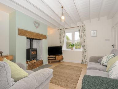 A living room with a wood stove fireplace two sofas a television and a window with curtains at Carvannel Cottages in North Cliffs near Portreath