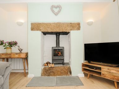 A wood burning stove set in a stone fireplace with firewood beside it a wooden table with flowers and a duck ornament a wooden TV stand with a flat screen TV