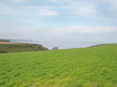 A grassy field with cliffs and the sea in the background at Carvannel Cottages North Cliffs near Portreath