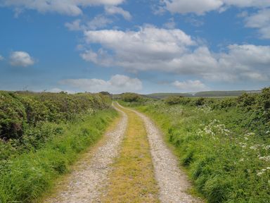 A gravel path with grass in the middle bordered by green bushes and wildflowers under a partly cloudy sky at Carvannel Cottages North Cliffs near Portreath