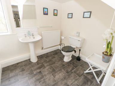 A bathroom with a pedestal sink a toilet with black seat a radiator and a small table with a potted plant at Heatherbrae in Middleton-In-Teesdale