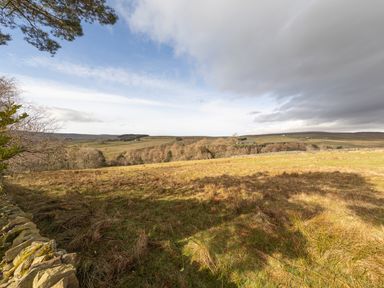 A field with grass and trees under a sky with clouds at Heatherbrae in Middleton-In-Teesdale