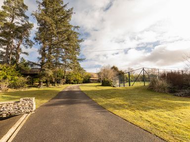 A paved driveway with grass on both sides and tall trees on the left at Heatherbrae in Middleton-In-Teesdale