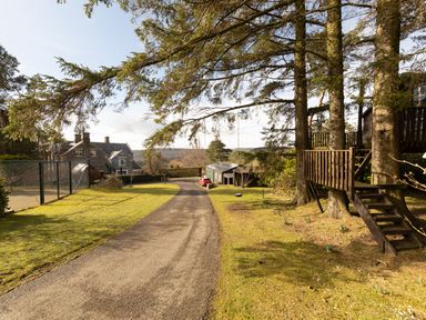 A driveway leading to houses with trees and a wooden treehouse at Heatherbrae in Middleton-In-Teesdale