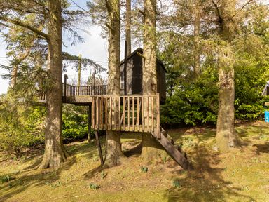 A wooden treehouse with stairs and a railing among trees in a garden at Heatherbrae in Middleton-In-Teesdale