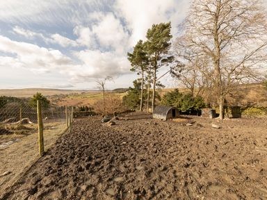 A muddy fenced outdoor area with trees a small animal shelter and a wire cage at Heatherbrae in Middleton-In-Teesdale