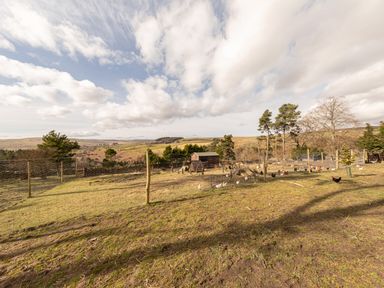 A fenced outdoor area with chickens and a small wooden coop on a grassy field with hills and trees in the background at Heatherbrae in Middleton-In-Teesdale