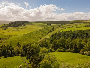 A landscape of green fields and trees under a cloudy sky at Heatherbrae in Middleton-In-Teesdale
