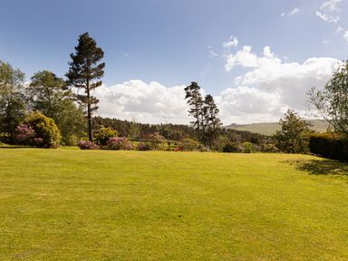 An open grassy lawn with trees and shrubs under a cloudy sky at Heatherbrae in Middleton-In-Teesdale