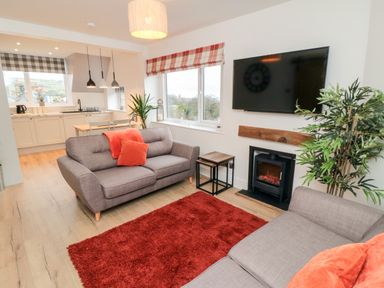 A living room with two grey sofas a red rug and a wall mounted tv at 4 Maypole Green in Fylingthorpe