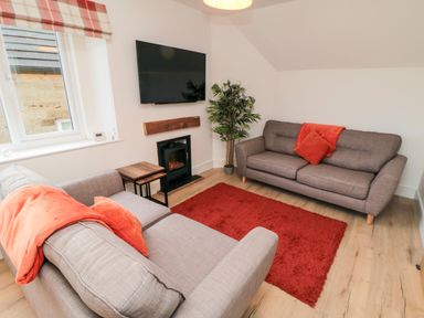 A living room with two gray sofas a red rug a wall-mounted TV and a plant at 4 Maypole Green in Fylingthorpe