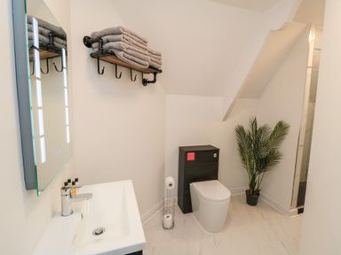 A bathroom with a sink mirror towel rack toilet and plant at 4 Maypole Green in Fylingthorpe