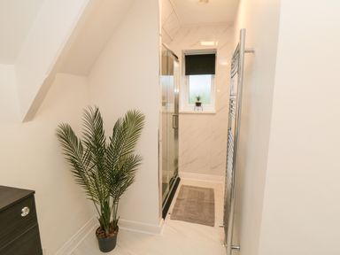 A bathroom hallway with a potted plant cabinet a shower room with a window and a towel rail at 4 Maypole Green in Fylingthorpe
