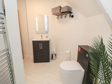 A bathroom with a toilet sink cabinet mirror towel rack and plant at 4 Maypole Green in Fylingthorpe