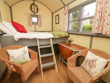 A small room with a loft bed accessed by a wooden ladder two wicker chairs with animal print cushions a foldable wooden table and floral curtains on windows at Brown Hare Shepherds Hut in Llangorse