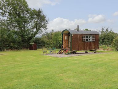 A wooden shepherds hut on wheels with steps and outdoor chairs on a grassy field at Brown Hare Shepherds Hut in Llangorse
