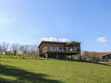 A wooden cabin with a deck on a grassy slope under a clear sky at Bryn Hafod in Llandrindod Wells