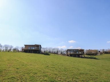 Two elevated wooden houses on a grassy hill under a clear sky at Llety Cariad in Llandrindod Wells