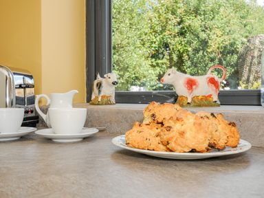 A kitchen counter with a plate of scones two white cups a creamer a toaster and ceramic cow figurines by a window at Lillemor in South Tawton near Whiddon Down