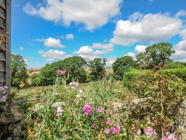 A garden with pink flowers and green foliage with trees and fields in the background at Lillemor South Tawton near Whiddon Down